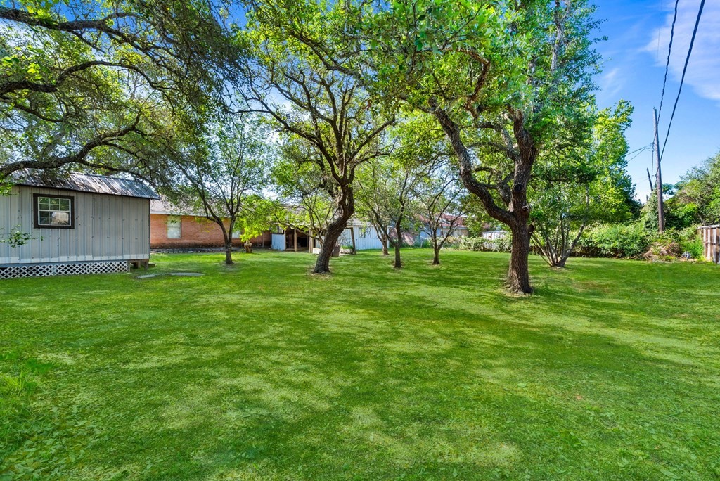 118 Saint Peter Property Photo 4