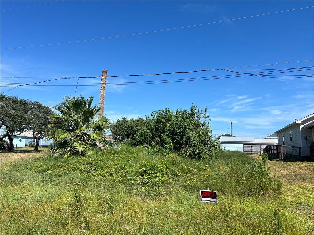 1518 S Pearl St Property Photo 1