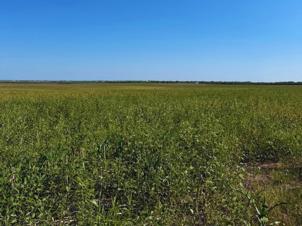 Tbd County Rd 1070 Property Photo 6