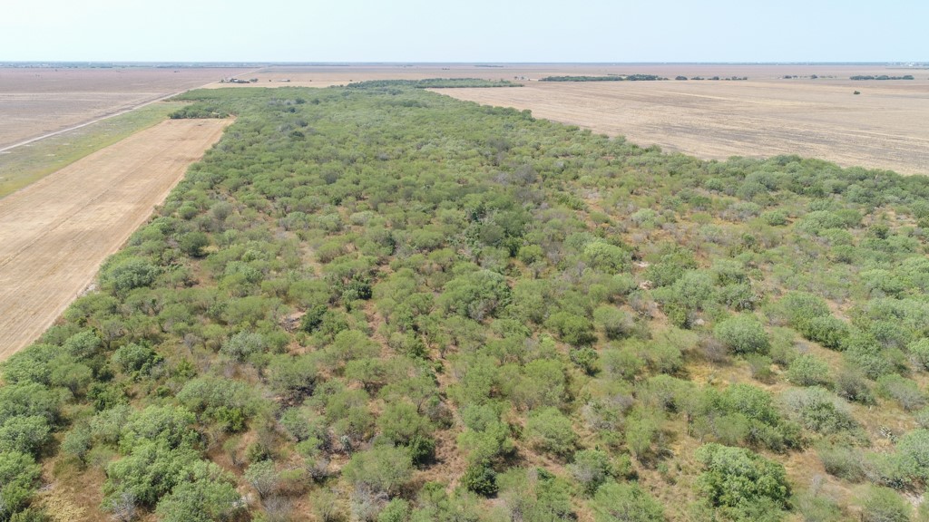 Tbd County Road 331 Property Photo 4