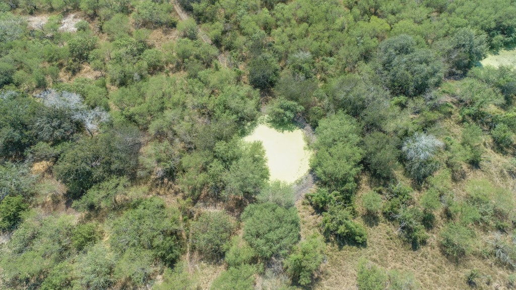 Tbd County Road 331 Property Photo 5