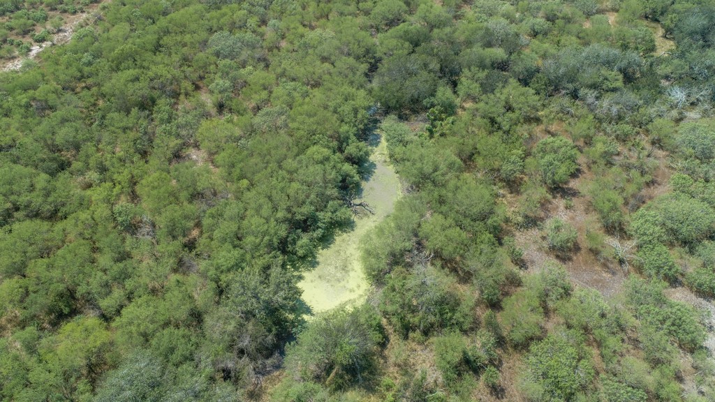 Tbd County Road 331 Property Photo 6