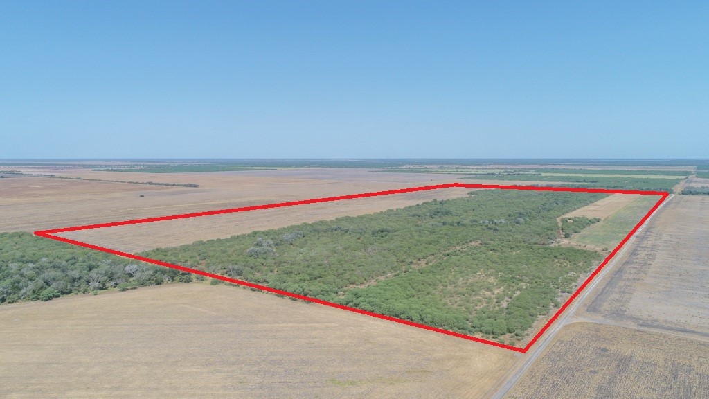 Tbd County Road 331 Property Photo 7