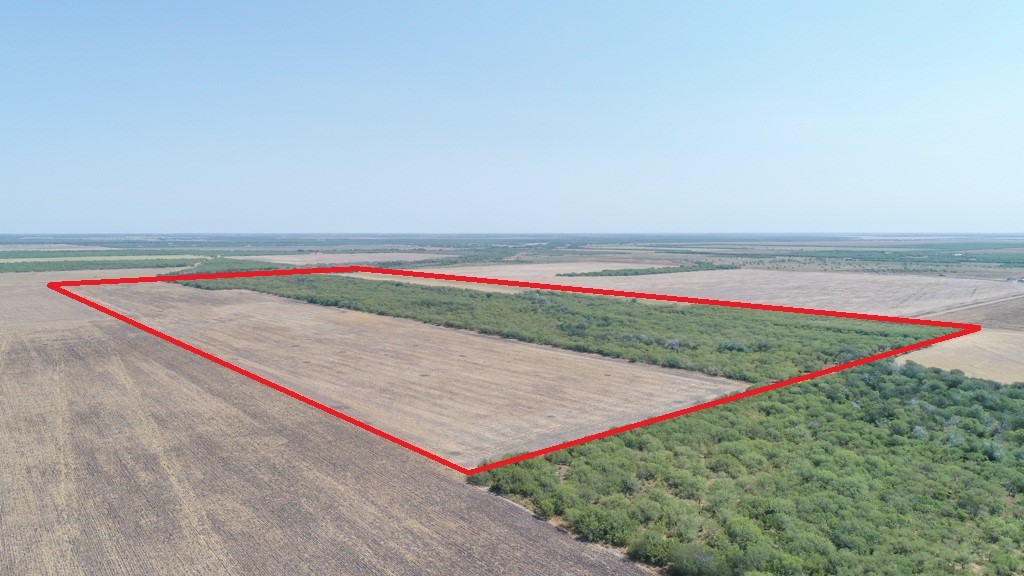 Tbd County Road 331 Property Photo 9