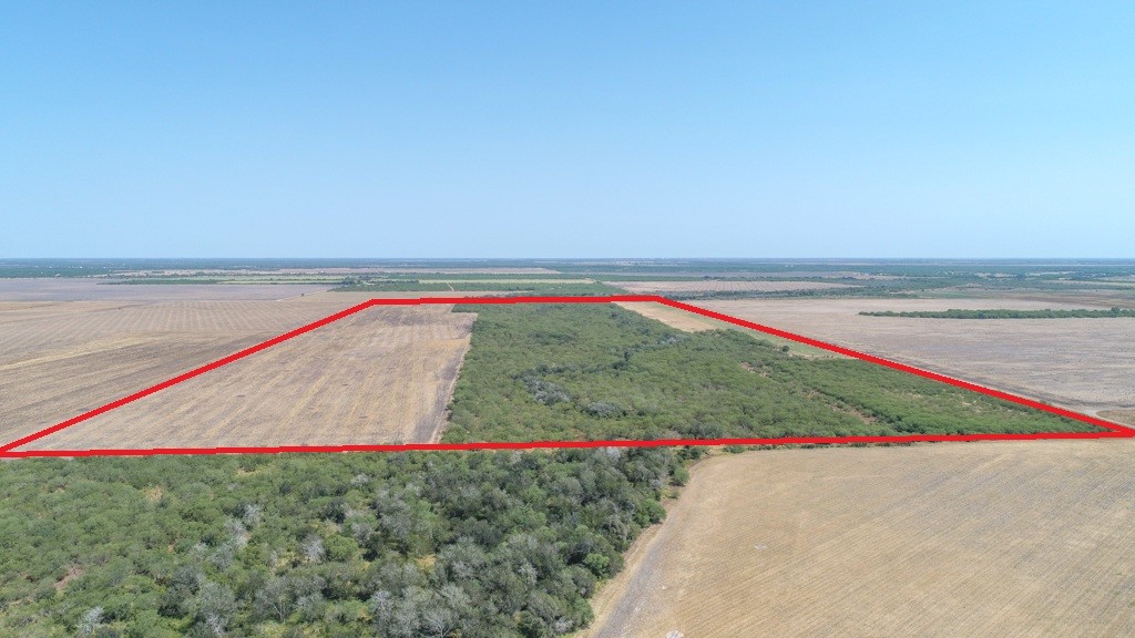 Tbd County Road 331 Property Photo 11