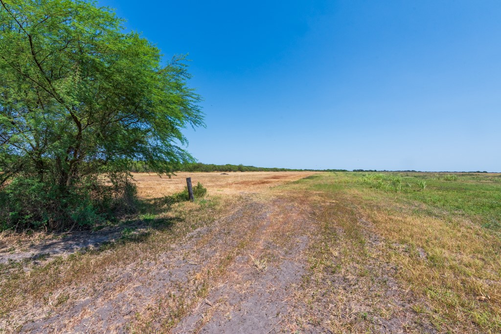 Tbd County Road 331 Property Photo 19
