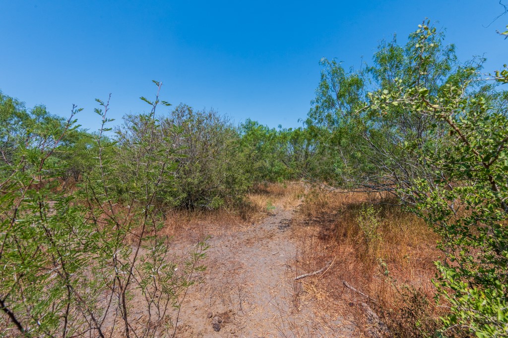 Tbd County Road 331 Property Photo 25