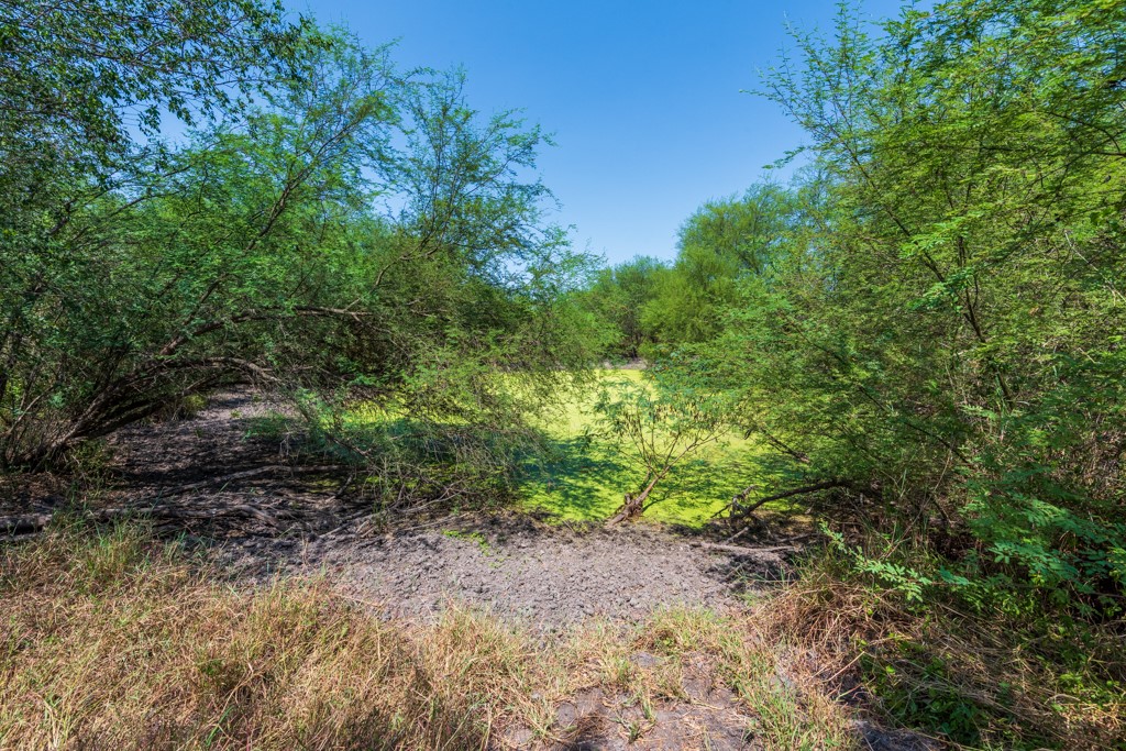 Tbd County Road 331 Property Photo 26