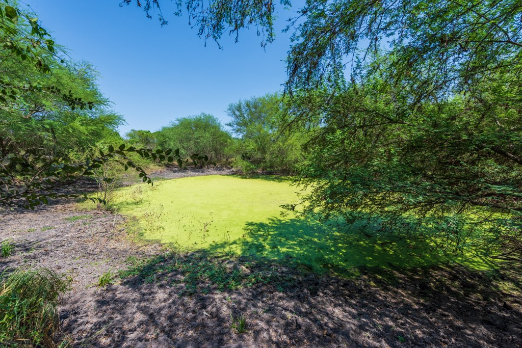 Tbd County Road 331 Property Photo 27