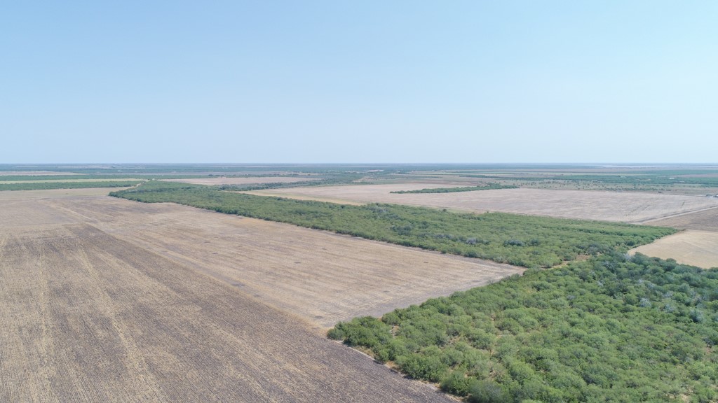 Tbd County Road 331 Property Photo 30