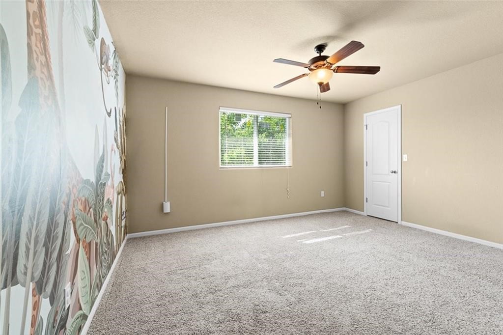 306 Calley Springs St Property Photo 23
