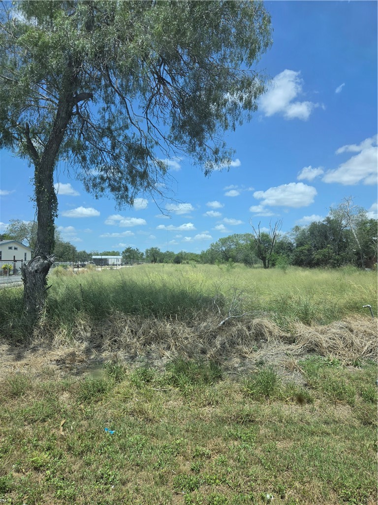 369 Edith Dr Property Photo 4