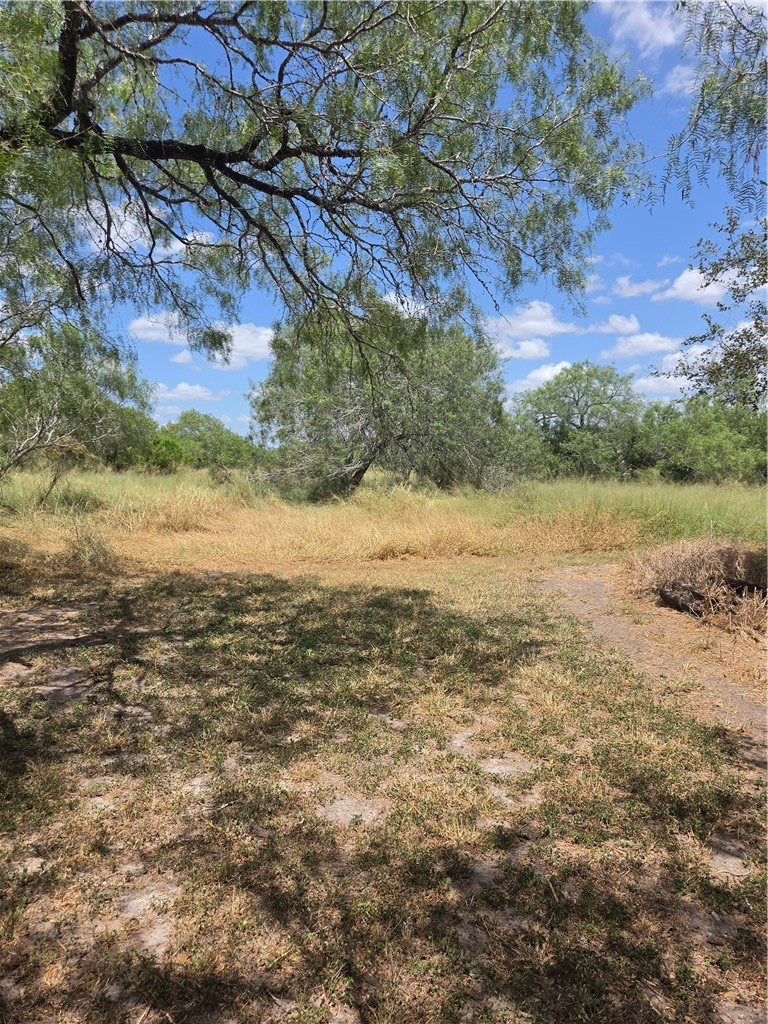 369 Edith Dr Property Photo 6