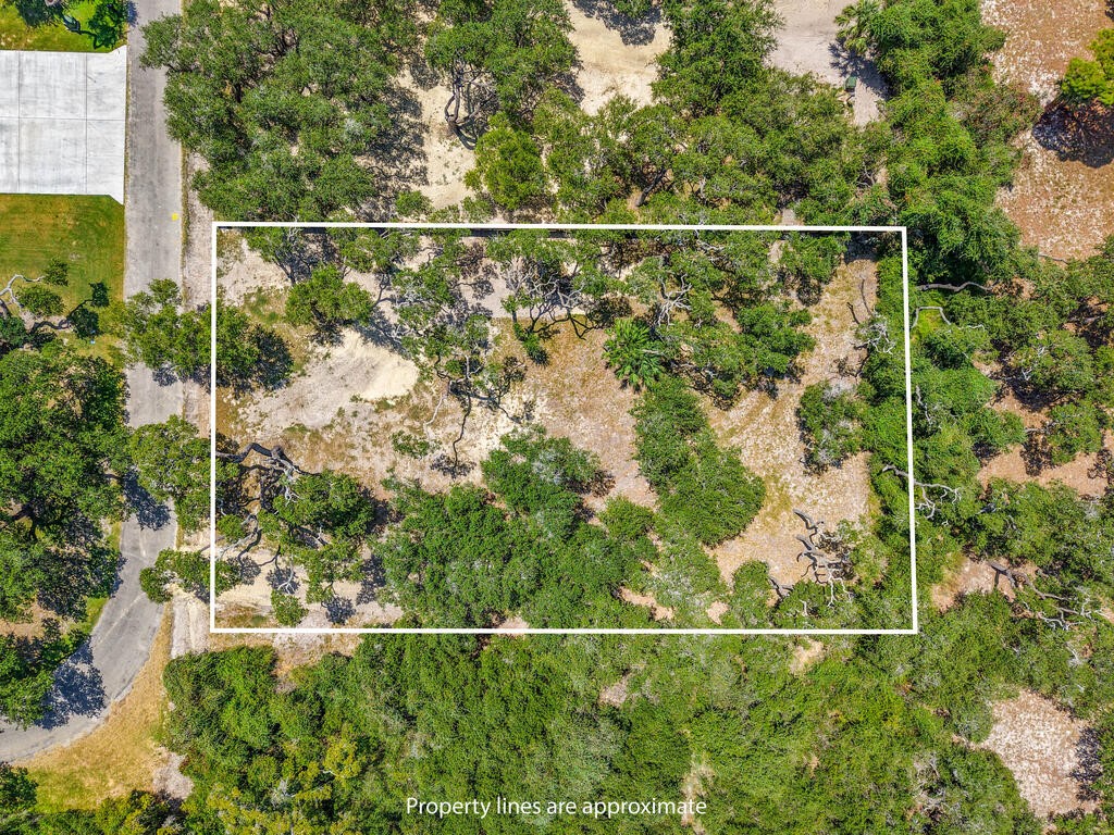 40 Magnolia St Property Photo 3