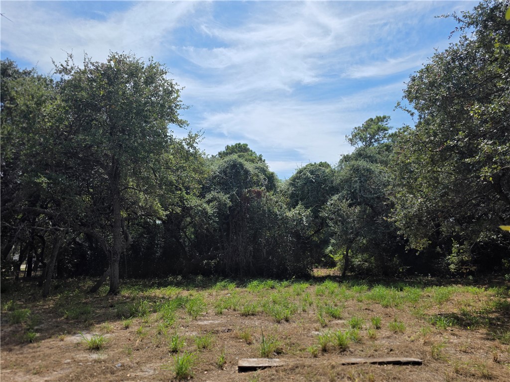 1505 Mooney Lane Property Photo 11