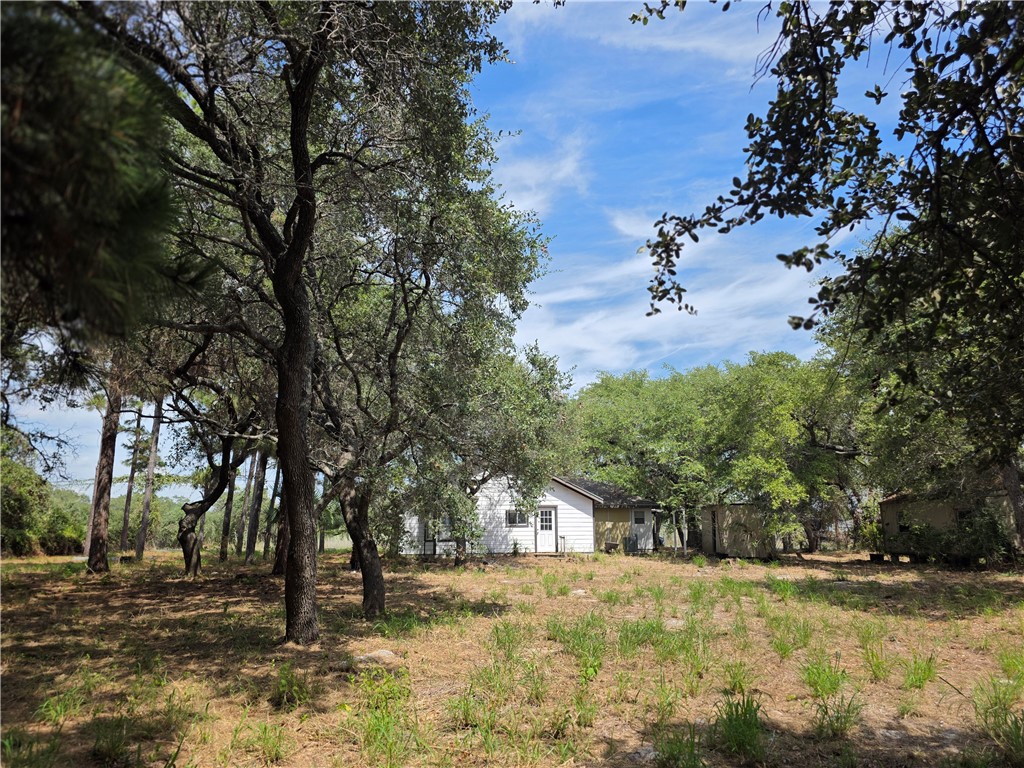 1505 Mooney Lane Property Photo 14