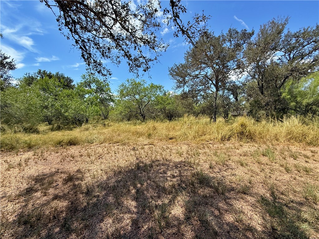 0000 Javelina Creek Dr Property Photo 15