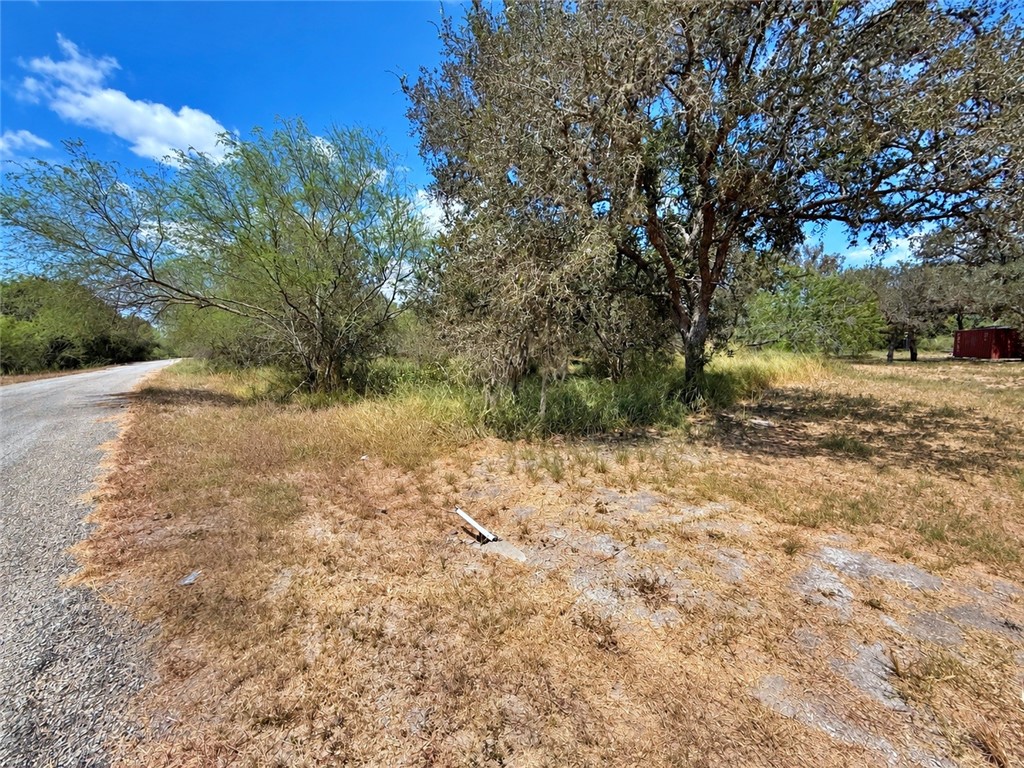 0000 Javelina Creek Dr Property Photo 17
