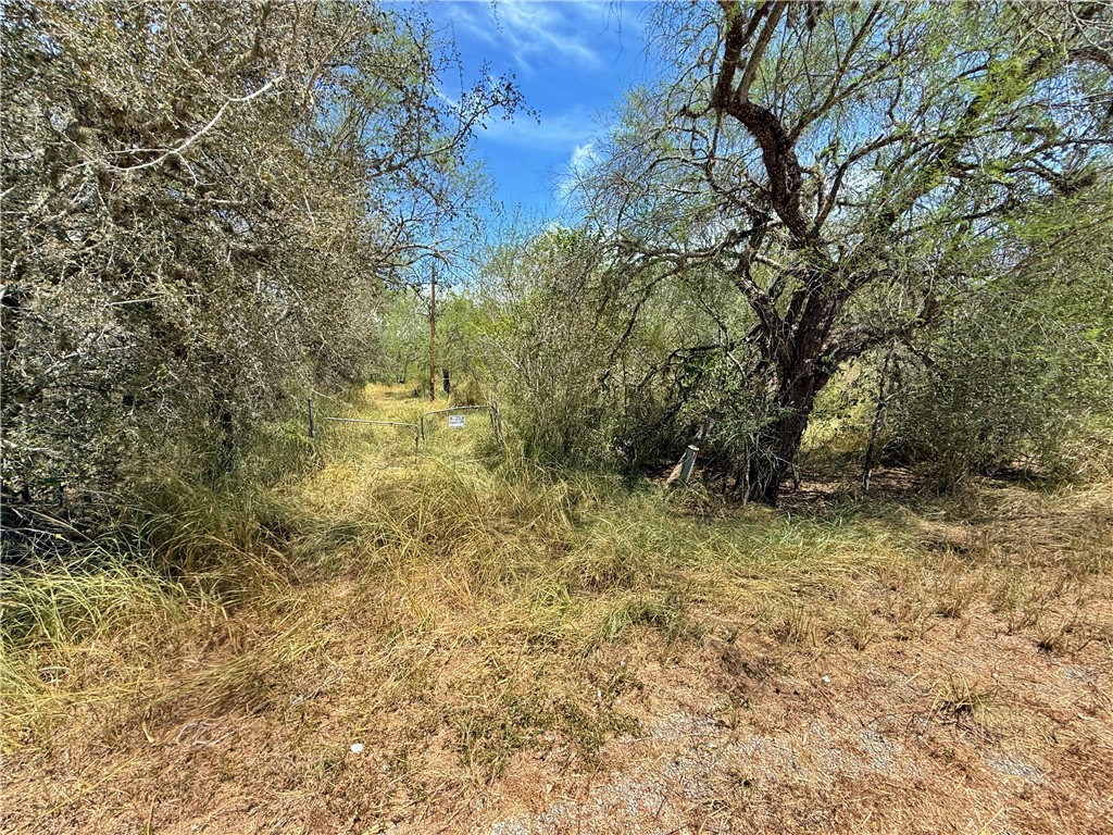 0000 Javelina Creek Dr Property Photo 18
