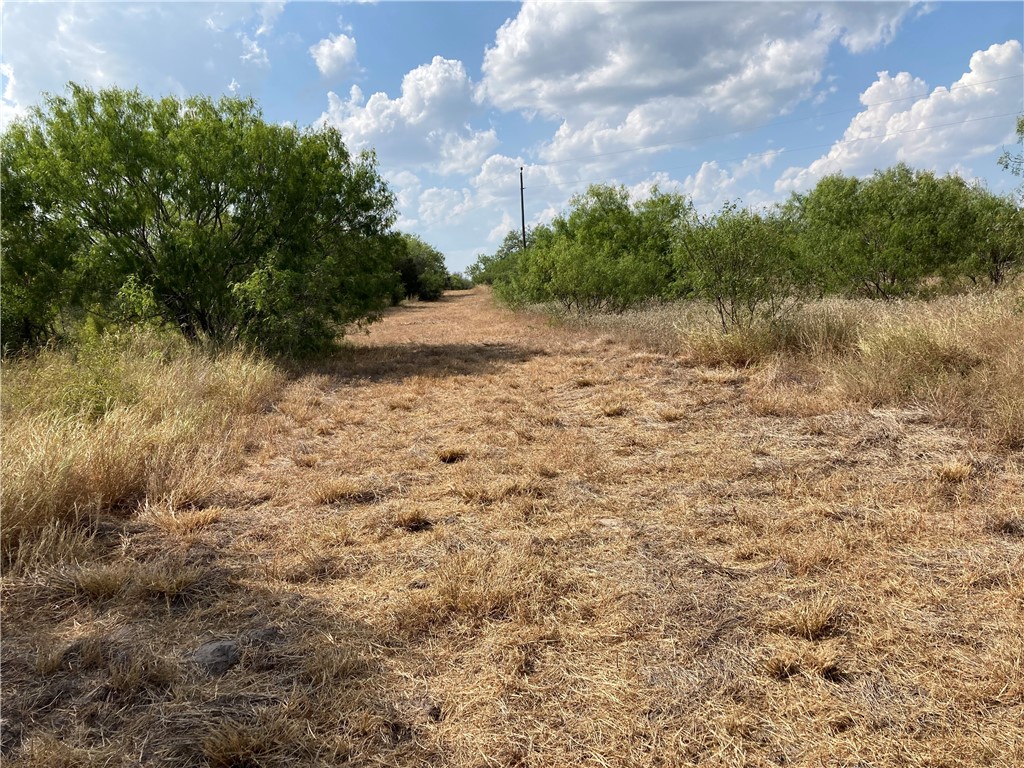 158 Cr 117 Property Photo 4