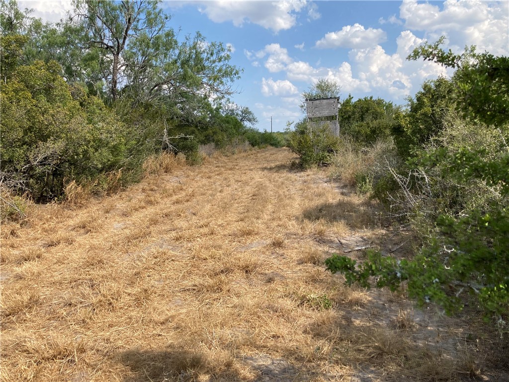 158 Cr 117 Property Photo 5
