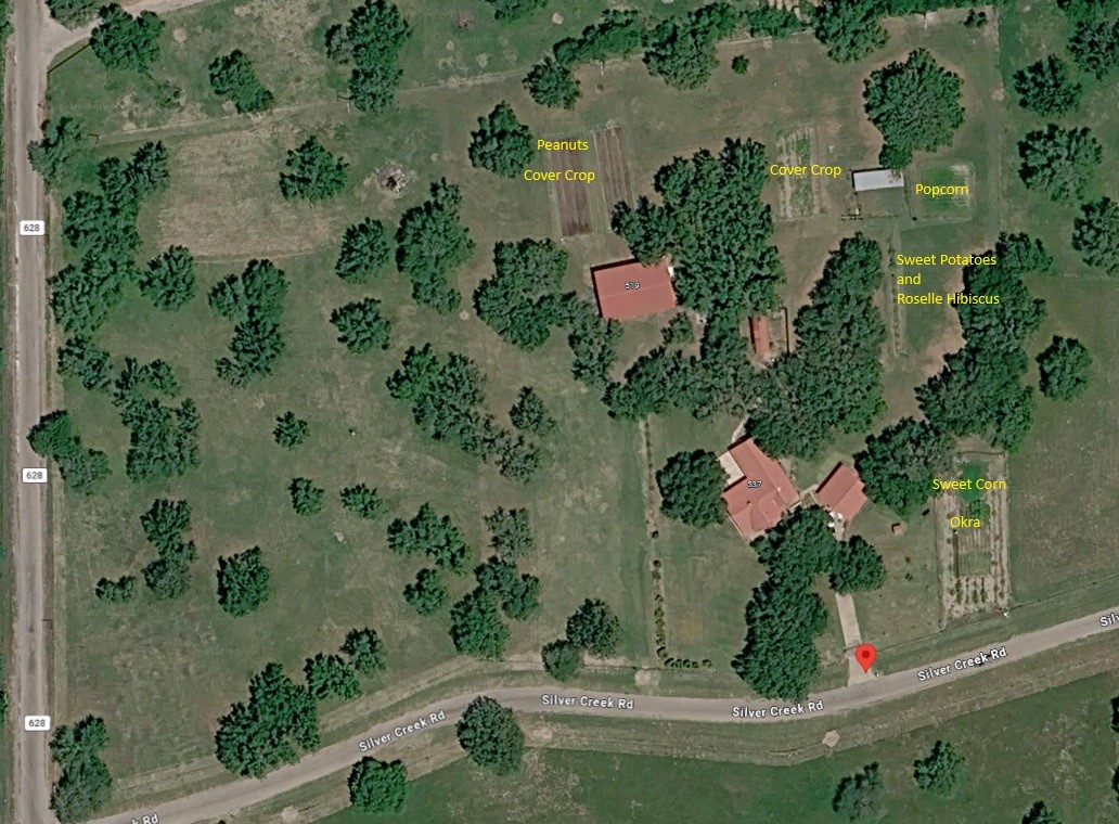 555 Silver Creek Property Photo 4