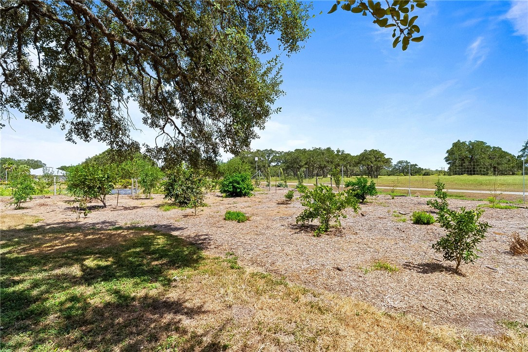555 Silver Creek Property Photo 8
