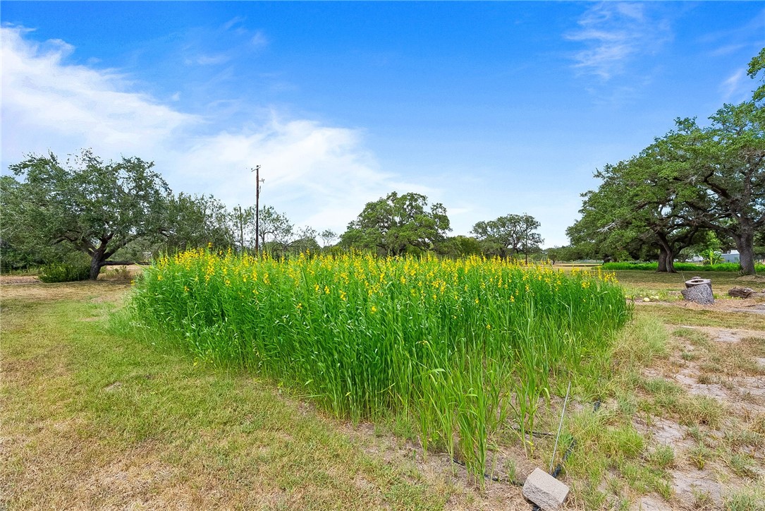 555 Silver Creek Property Photo 9