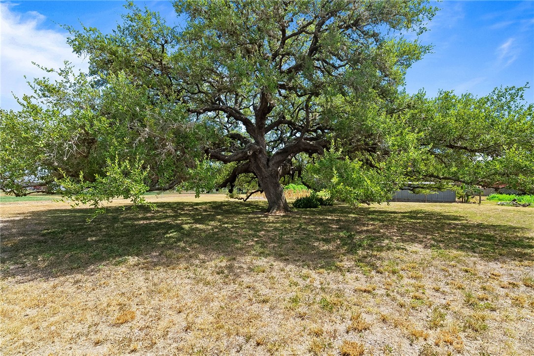 555 Silver Creek Property Photo 35