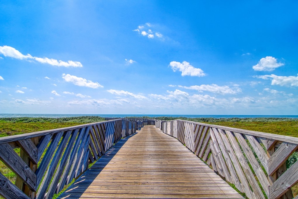 173 Spanish Dagger Property Photo 40