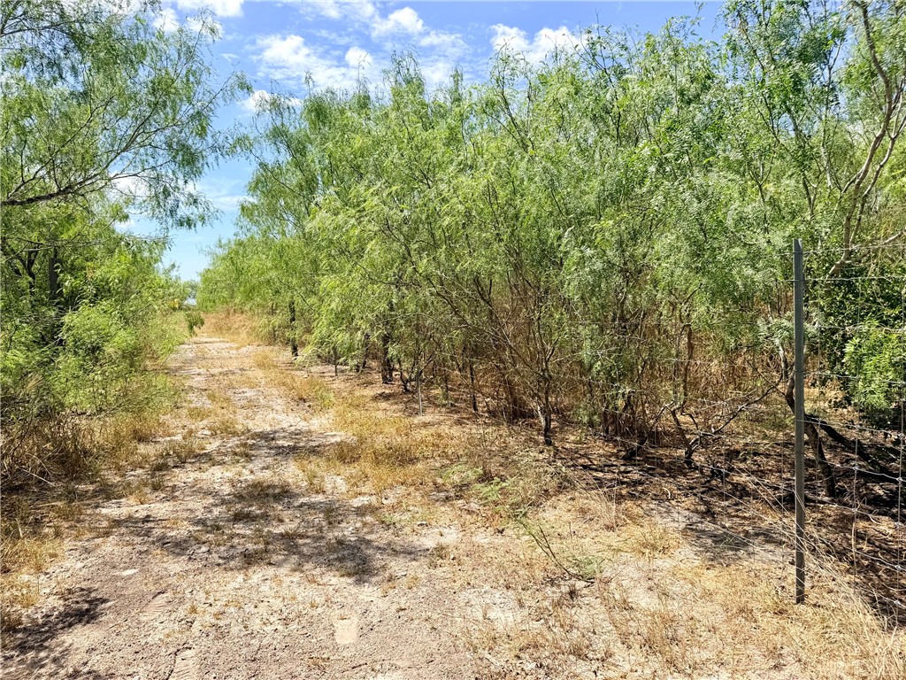 6995 County Road 12 Property Photo 27