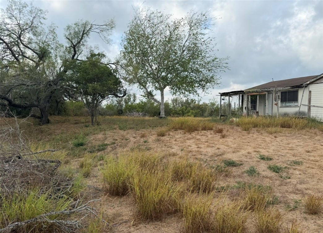 3483 County Road 116 Property Photo 4