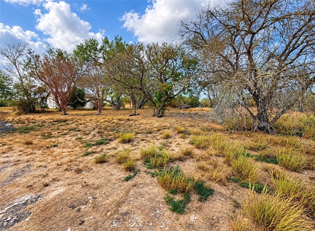 3483 County Road 116 Property Photo 7