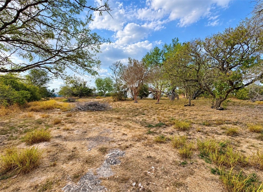 3483 County Road 116 Property Photo 8