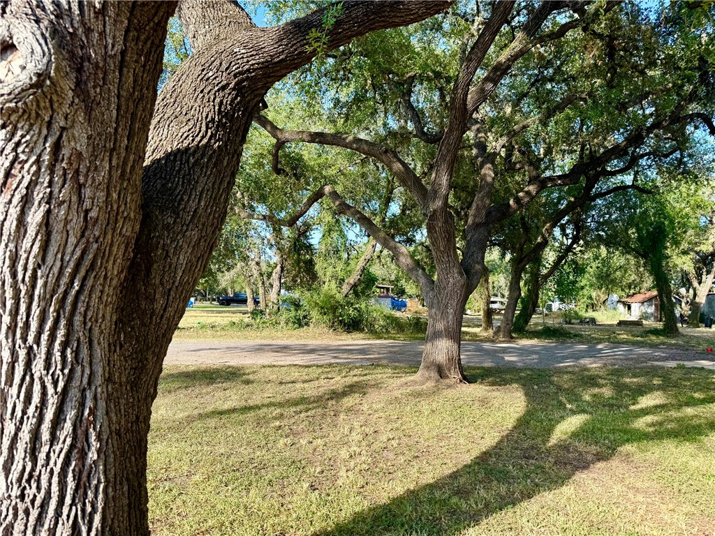 170 White Lane Property Photo 34