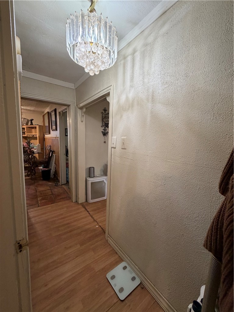 105 Walker St (benbolt) St Property Photo 26