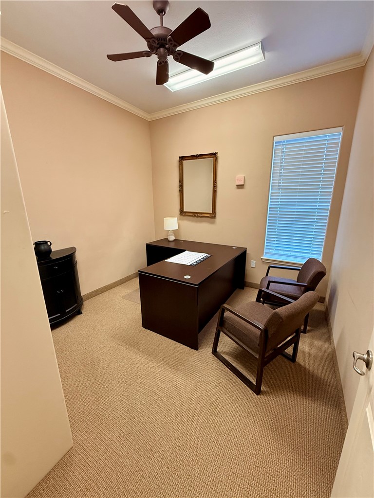 5026 Holly Property Photo 22