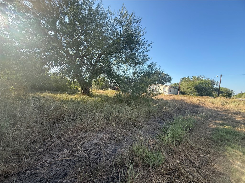 7239 County Road 2045 Property Photo 5
