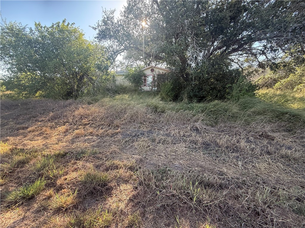 7239 County Road 2045 Property Photo 8