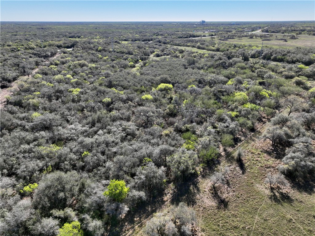 Lot 3 Us Highway 183 Property Photo 4