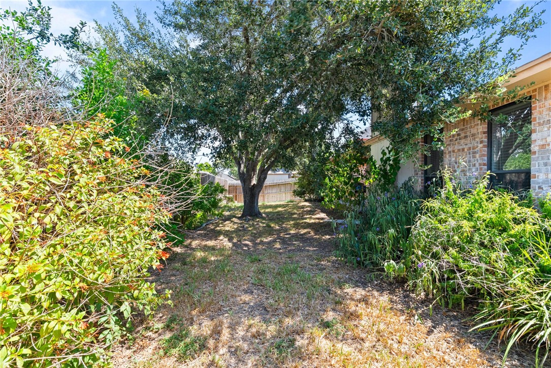 14936 Sandy Creek Ct Property Photo 3