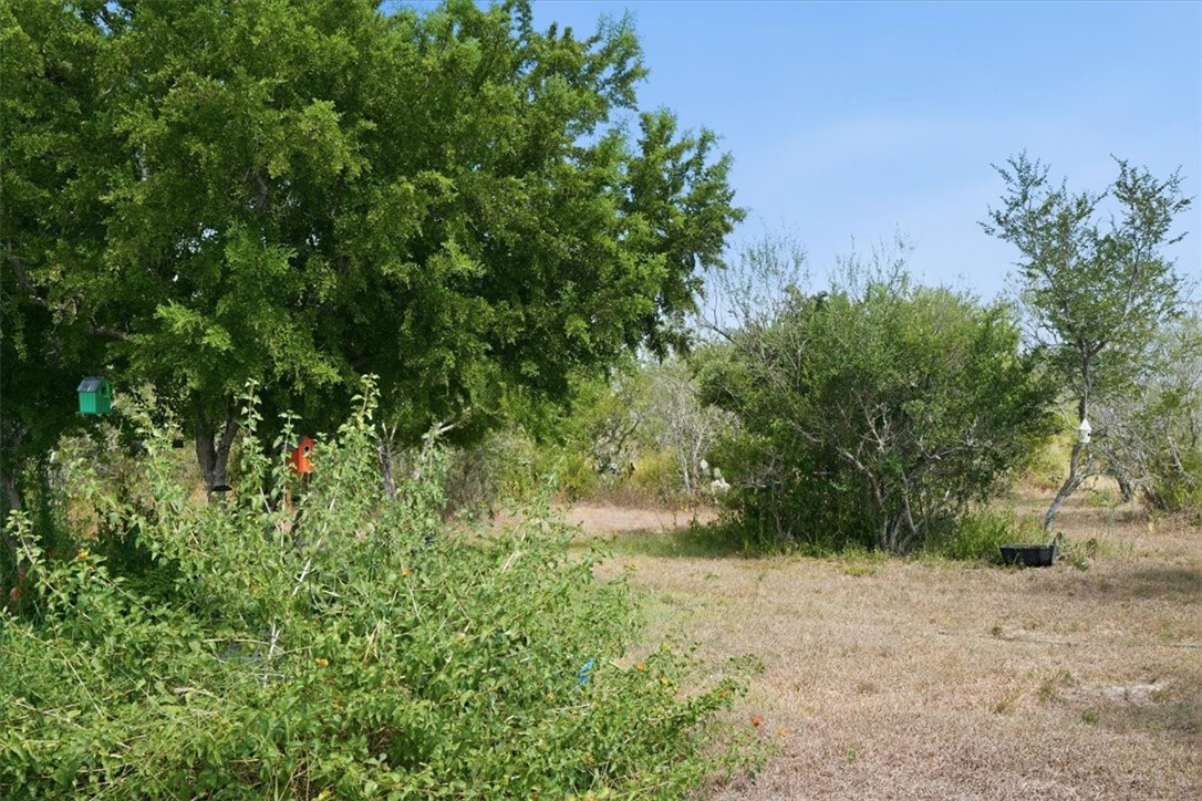 479 County Road 364 Property Photo 8