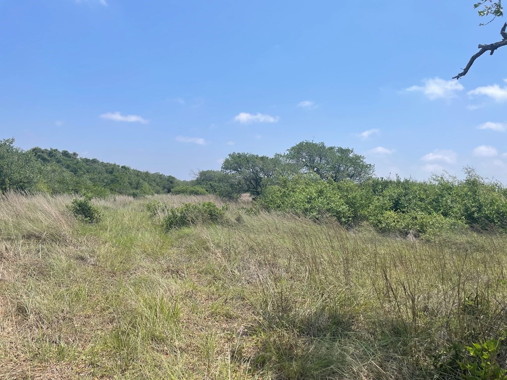 2402 Hwy 361 Property Photo 2