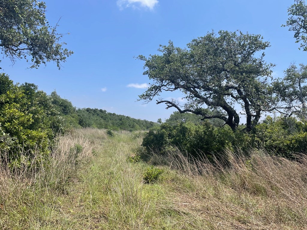 2402 Hwy 361 Property Photo 3