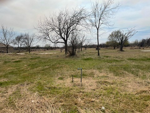 2447 Mccullough Property Photo 3
