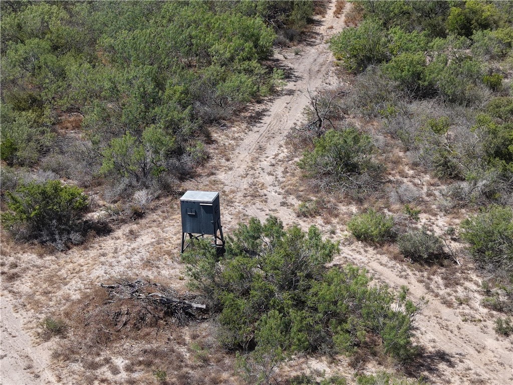 33 Acres Property Photo 31
