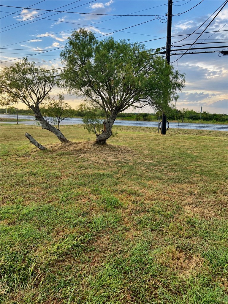 Lot 5 Fm 1069 Property Photo 4