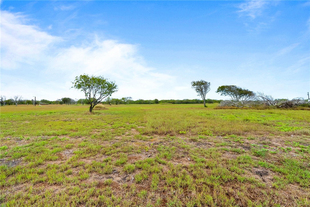 13778 County Road 1694 Property Photo 4