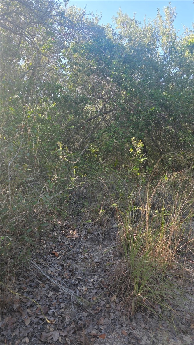000 4th Property Photo 1