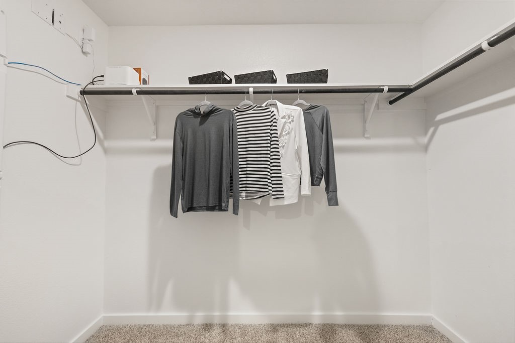 6313 Presto Dr Property Photo 22